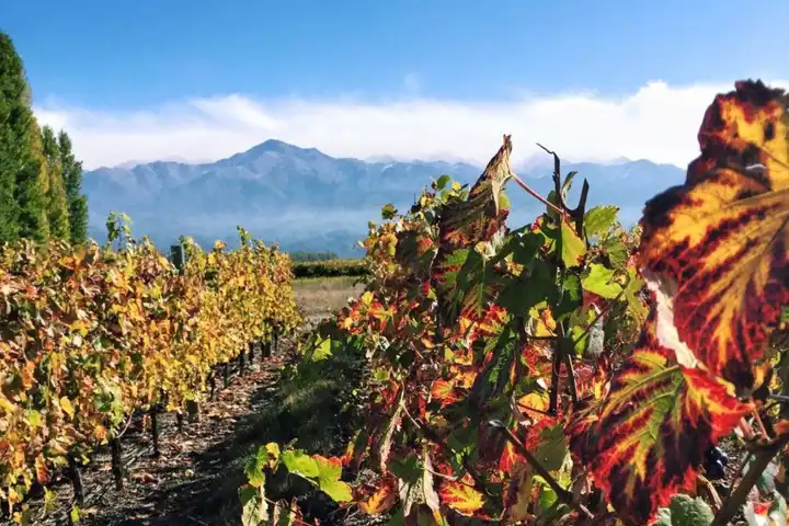 A Luxury Argentina Vacation With Ker & Downey1