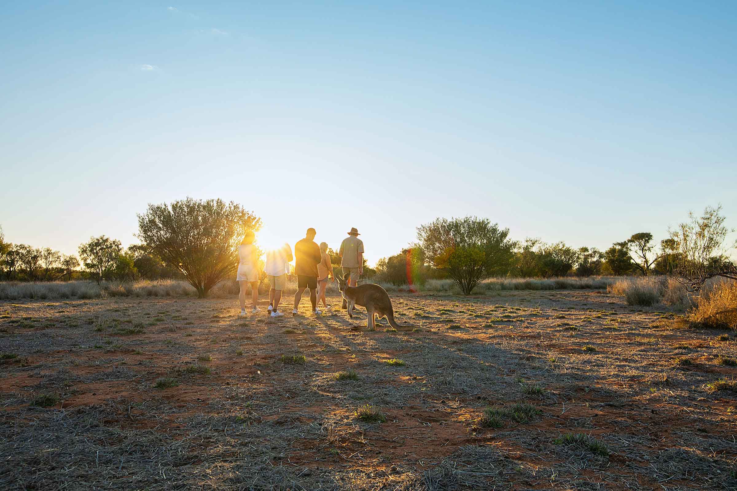 Alice Springs Kangaroo Sanctuary Austrlia