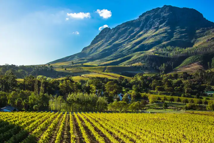 An Exploration Of South Africas Winelands By Private Helicopter HERO