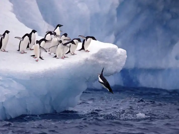Best Places To Travel In November Luxury November Travel November Antarctica