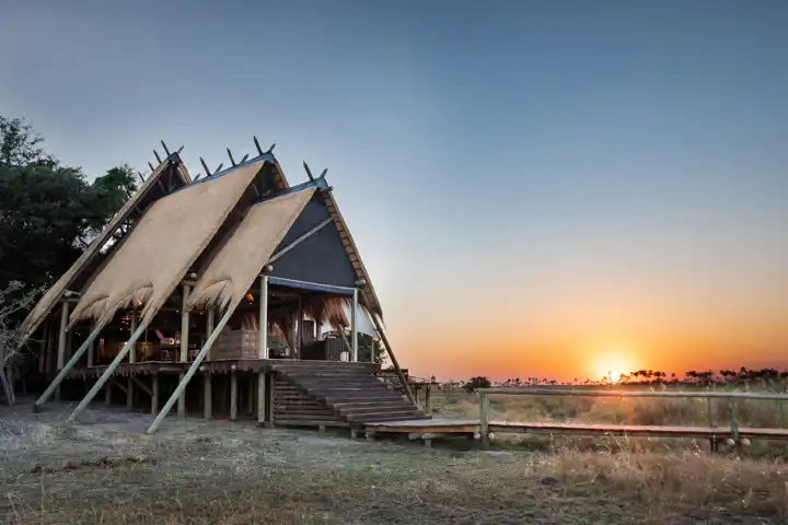 Botswana Selinda Camp Andrew Howard