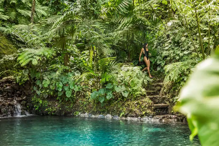 Como Shambhala Estate Wellness Retreat Indonesia
