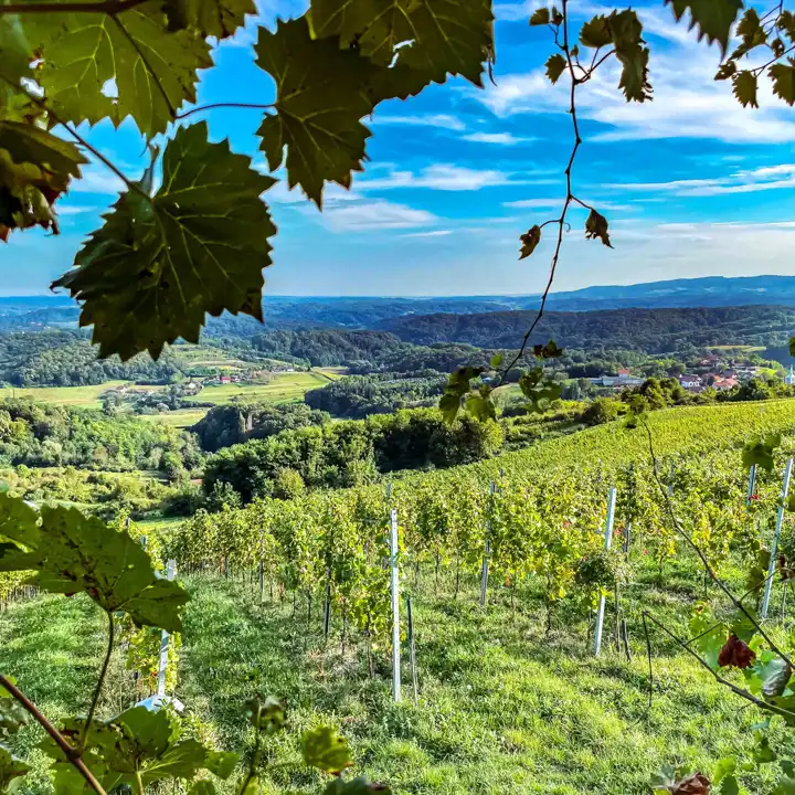 Croatia Hinterland