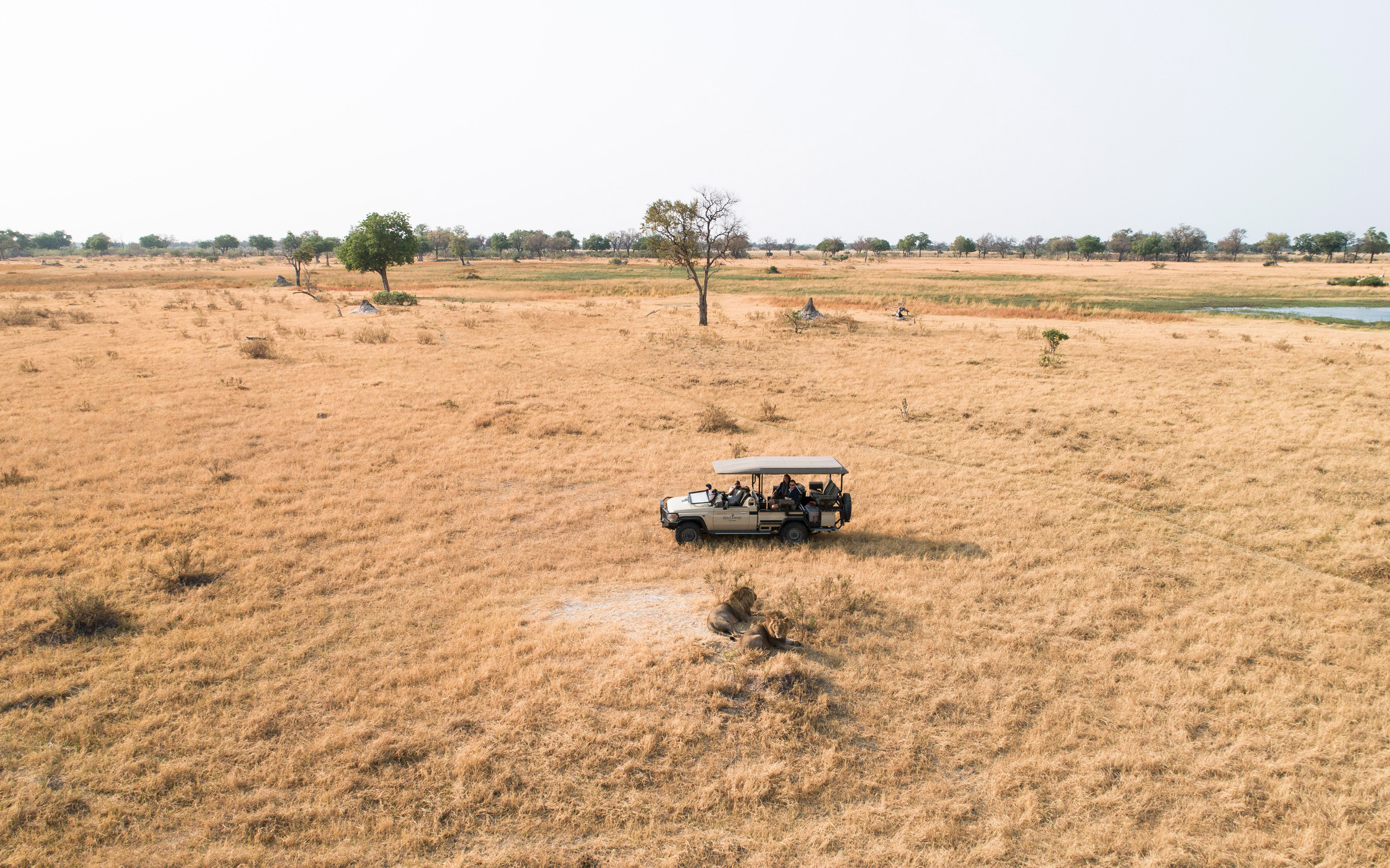 Botswana Safari - best time to go