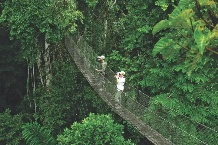 Explore The Amazon Inkaterra Reserva Amazonica Canopy