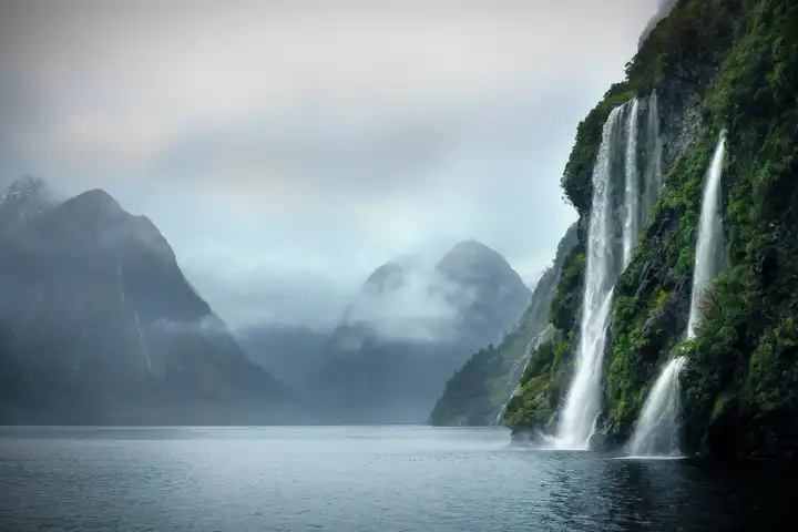 Fiordland Navigator Doubtful Sound Cruise New Zealand