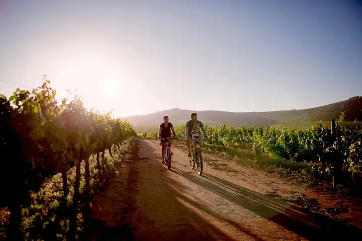 Franschhoek South Africa Luxury Travel