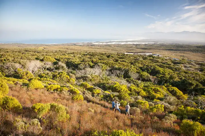 Grootbos Private Nature Reserve Conservation Travel