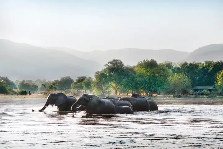 Hgtv Renovation Wild Chiawa Camp Zambia