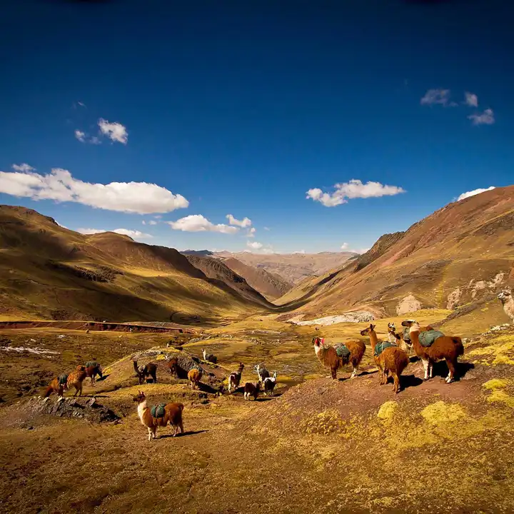 Hiking In Peru Adventure Travel