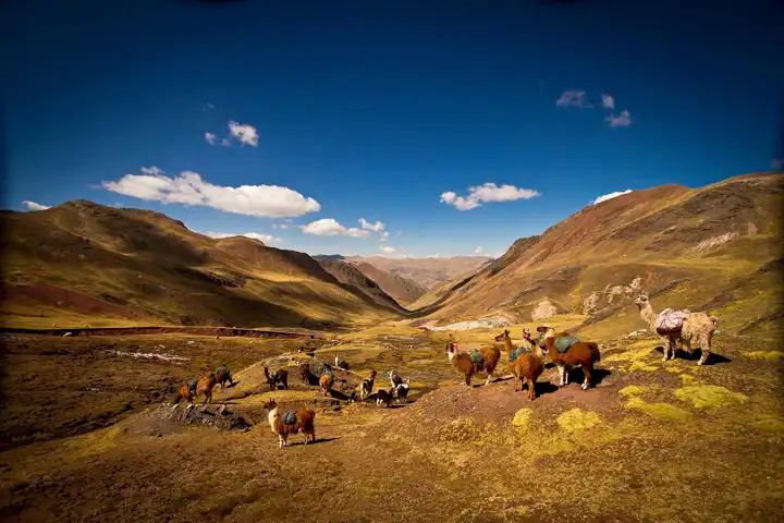 Hiking In Peru Adventure Travel