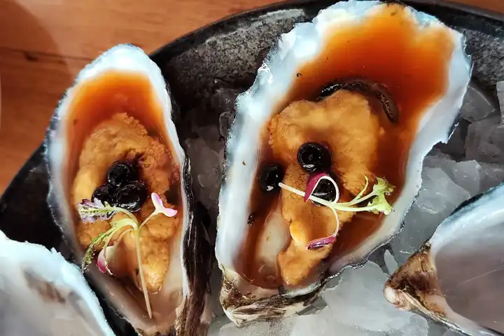 Hobart Culinary Tour Oysters Tasmania Australia