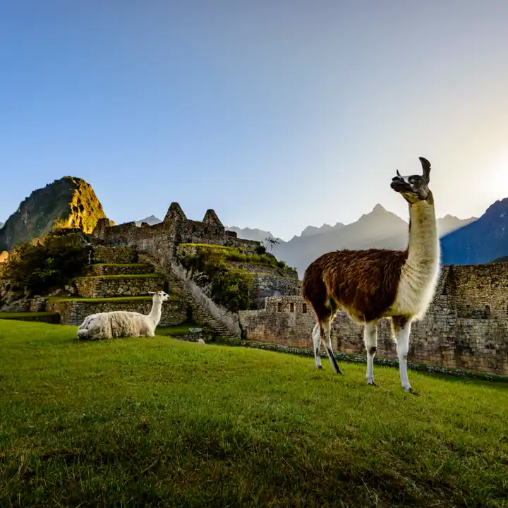 MachuPicchu