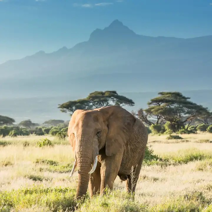 Mount_Kilimanjaro