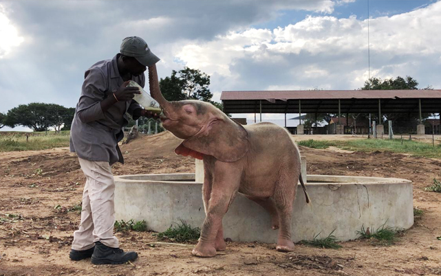 South African Adventure - Kruger Park Safari & Cape Town Winelands - Ker & Downey