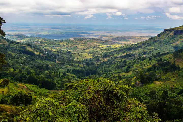 Jinga Uganda Kerdowney