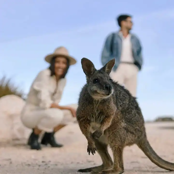 Kangaroo Island Touring Company Credit South Australian Tourism Commission Edit