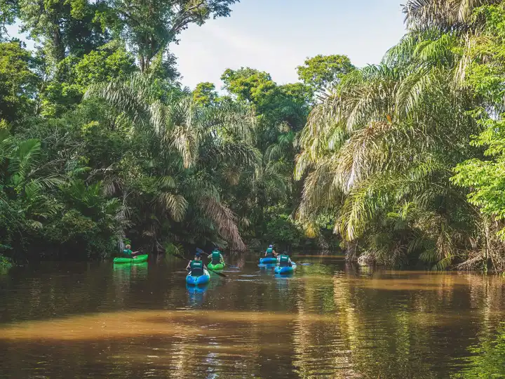 Kayaking At Tortuga Lodge Costa Rica