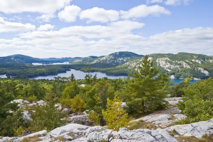 Killarney National Park Lanscape