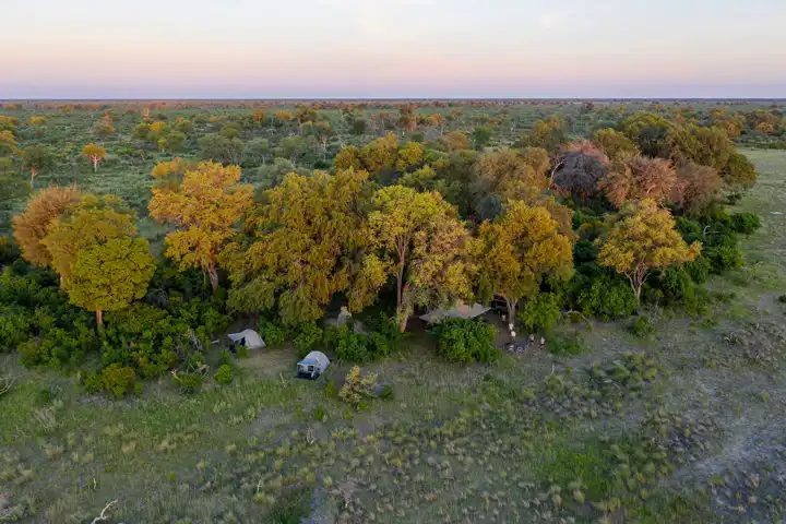 Kweene Trails Botswana Helicopter Safari Martin Harvey