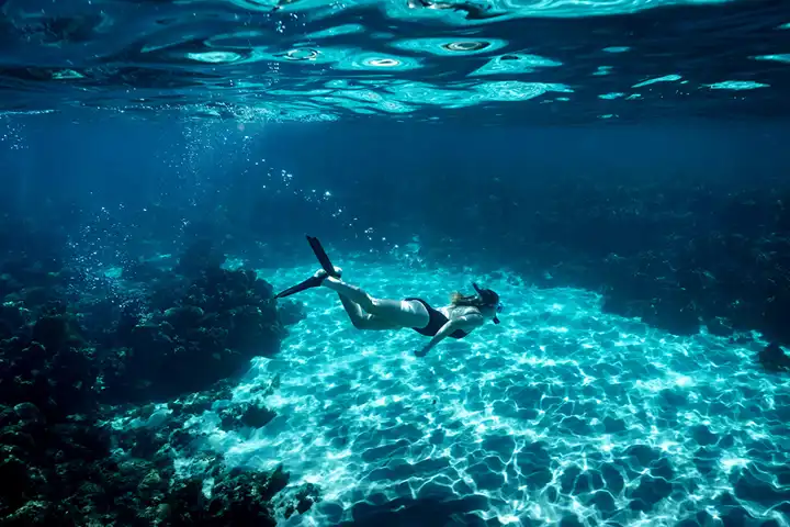 Lord Howe Island Capella Lodge Snorkeling