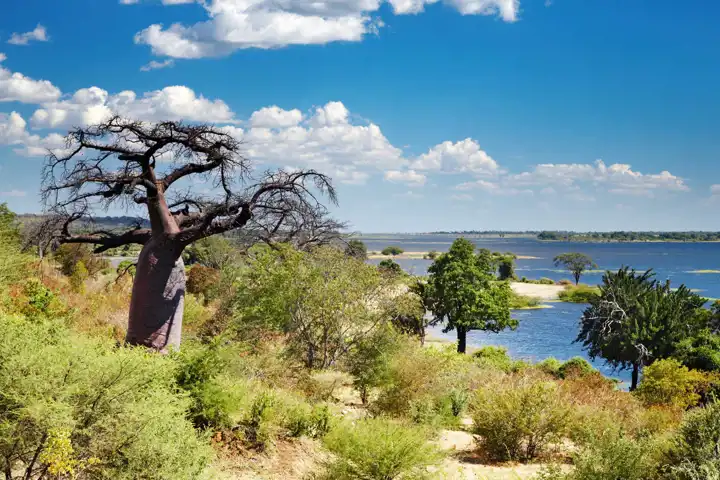 Luxury Botswana Safari