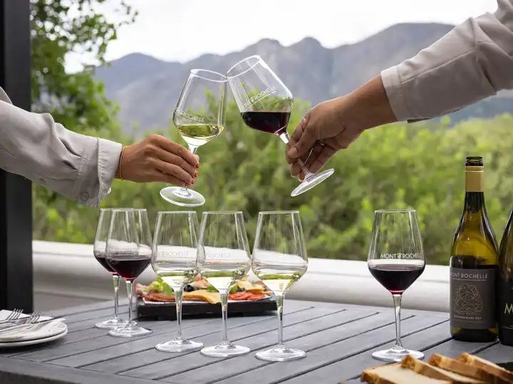 Mont Rochelle Wine Tasting South Africa