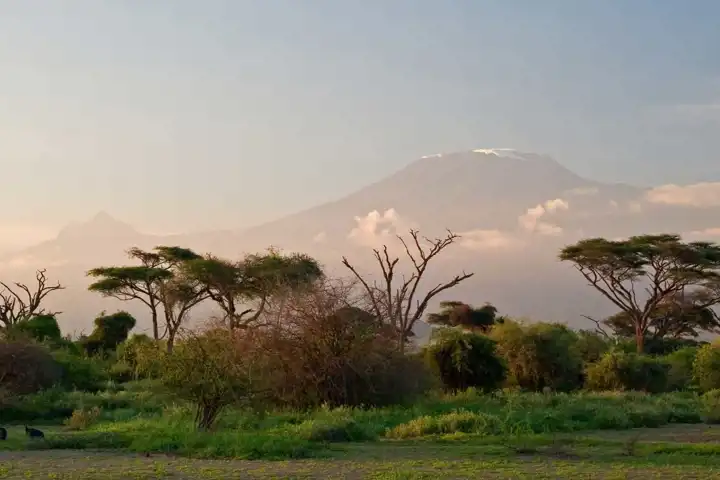 Mount Kilimanjaro Tanzana Safari