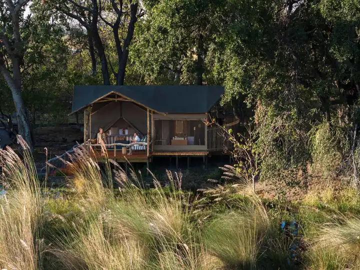 Shinde Botswana Safari