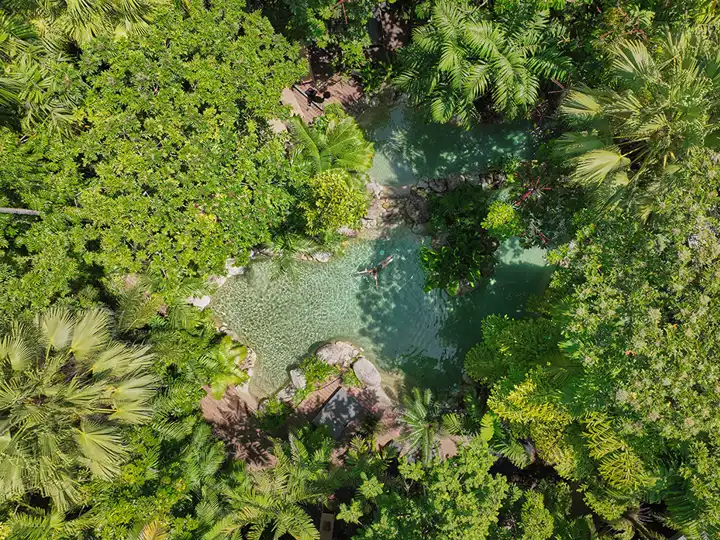 Silky Oaks Lodge Australia