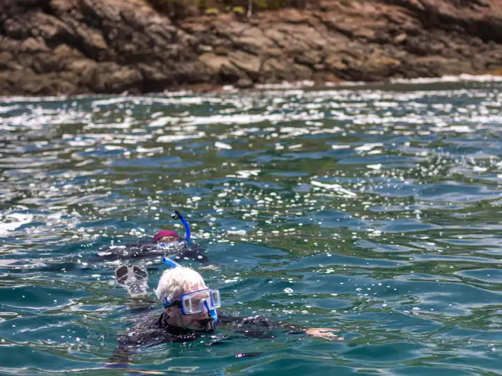 Snorkeing At Isla Palenque Panama