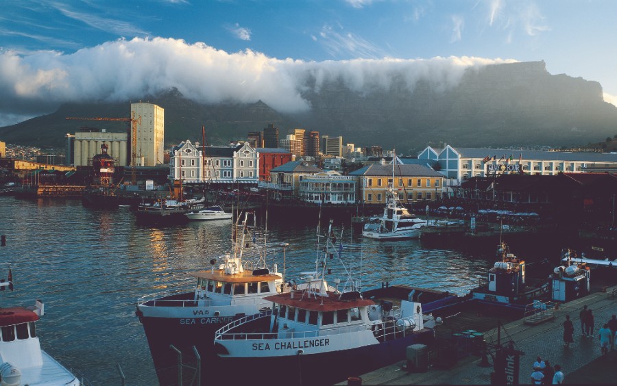 African Safari Beyond the Bush: Exploring South Africa's Diverse Landscapes Near Cape Town