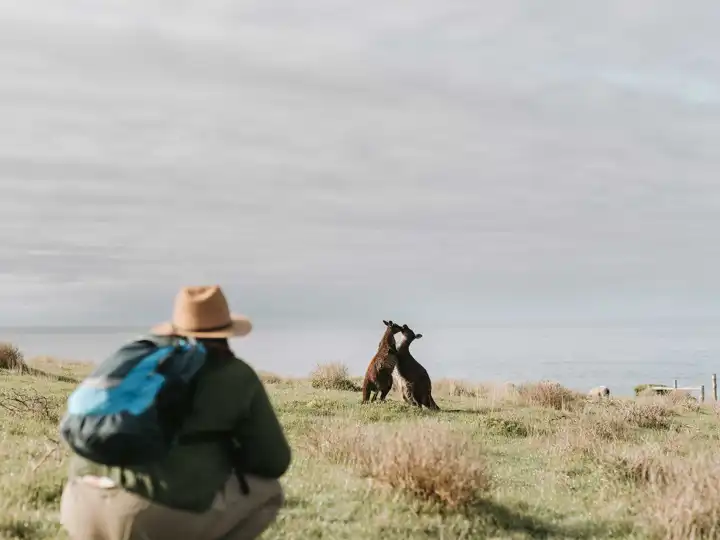 South Australia Cape Willoughby Credit Kangaroo Island Tourism Alliance