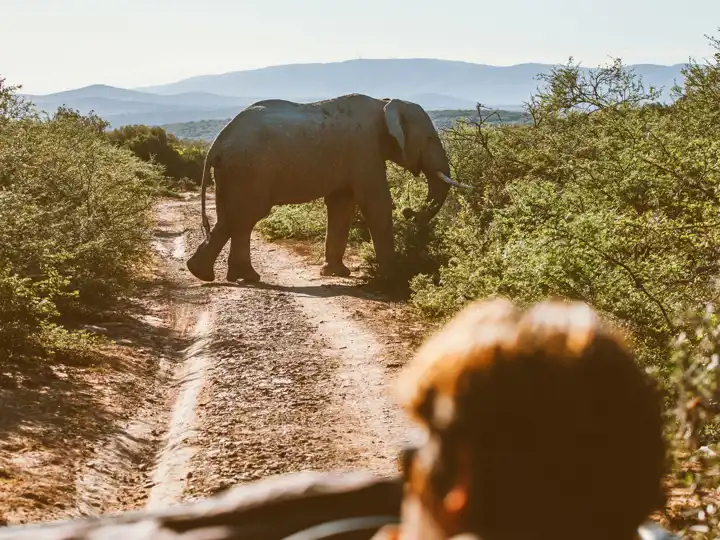 Southern Africa Feature South Africa