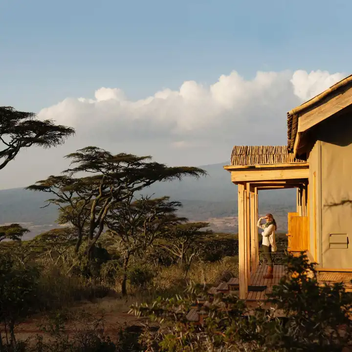 Tanzania Safari Ngorongoro Crater Entamanu