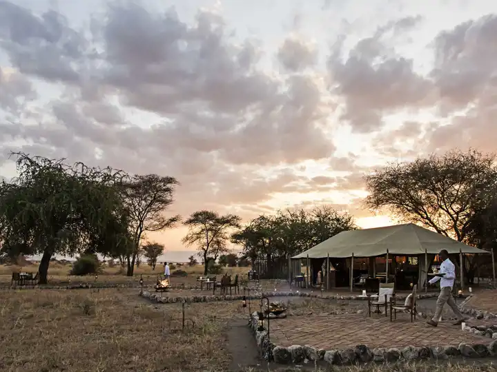 Tanzania Safari Tarangire Little Chem Chem