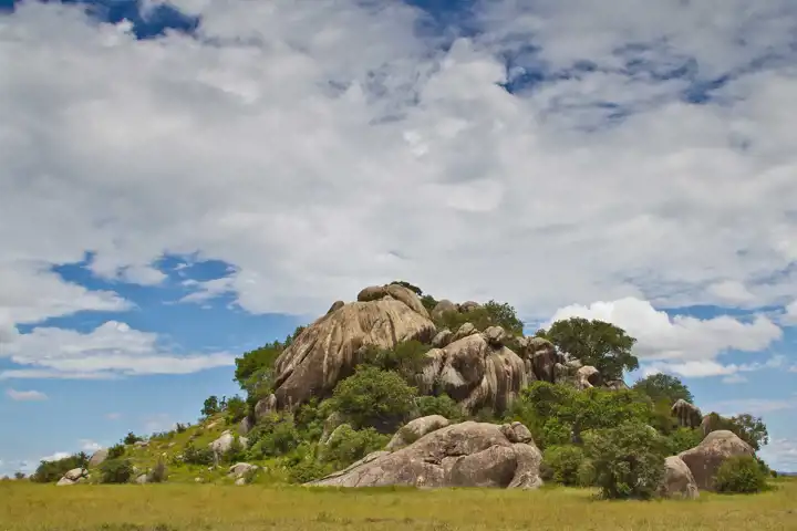 Tanzania Serengeti Landscape