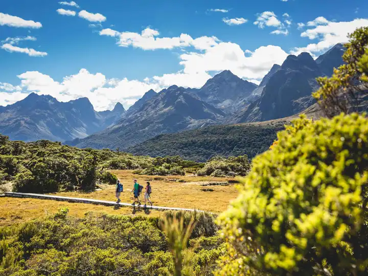 Te Anau T&T Hiking Idnz