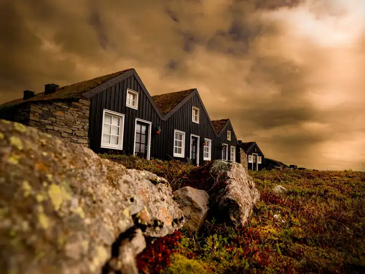 Torfhus Iceland Fall Arrivals