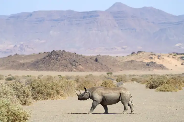 Travel Experiences Around The World The Best Travel Ideas Namibia