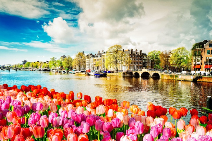 Tulip Tme River Cruise