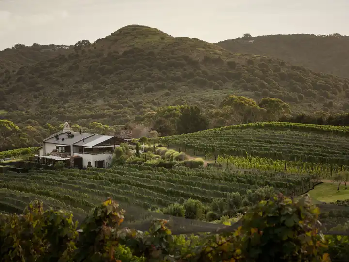 Waiheke Island Where To Eat And Drink On Waiheke Island New Zealand