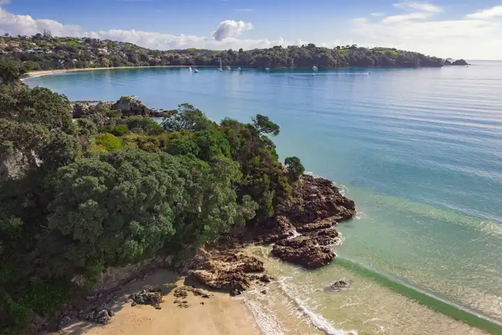 Waiheke Look Up Look Down Photography Nvhlbql5bhq Unsplash Edit