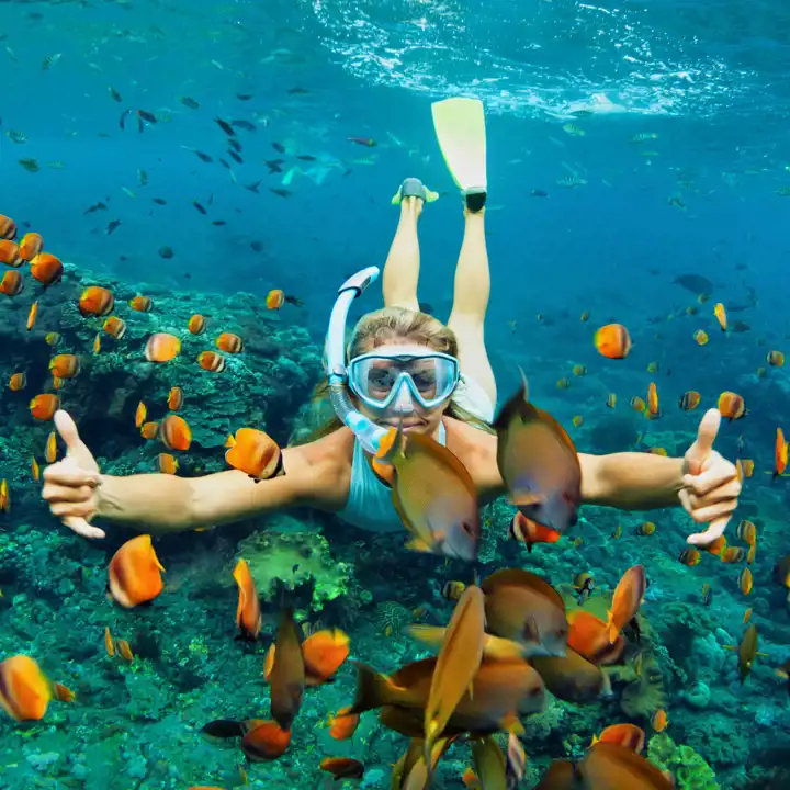When To Travel To Australia Great Barrier Reef Ker & Downey