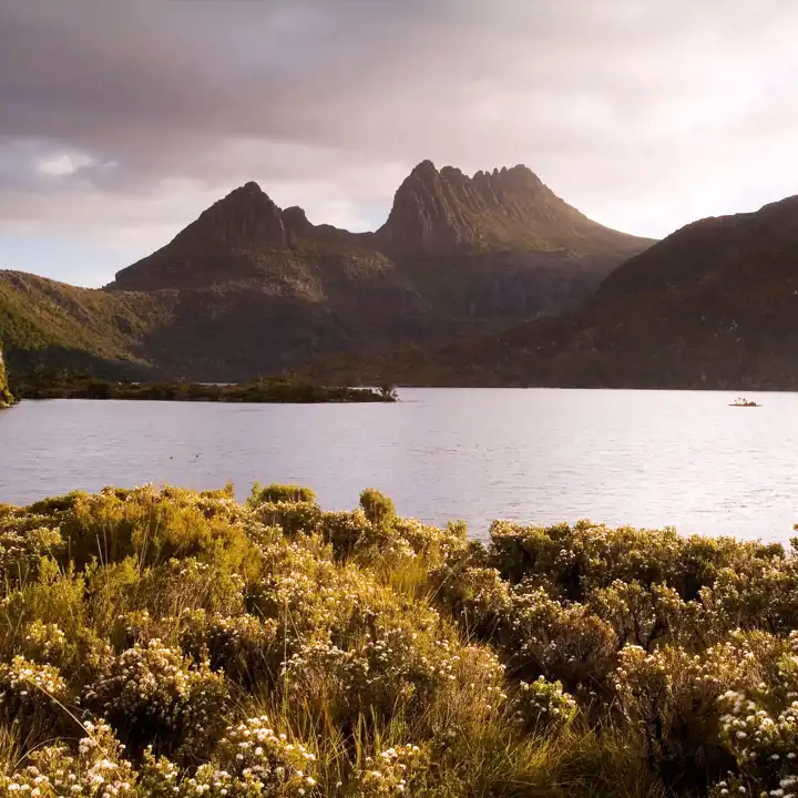 When To Travel To Australia Tasmania Ker & Downey