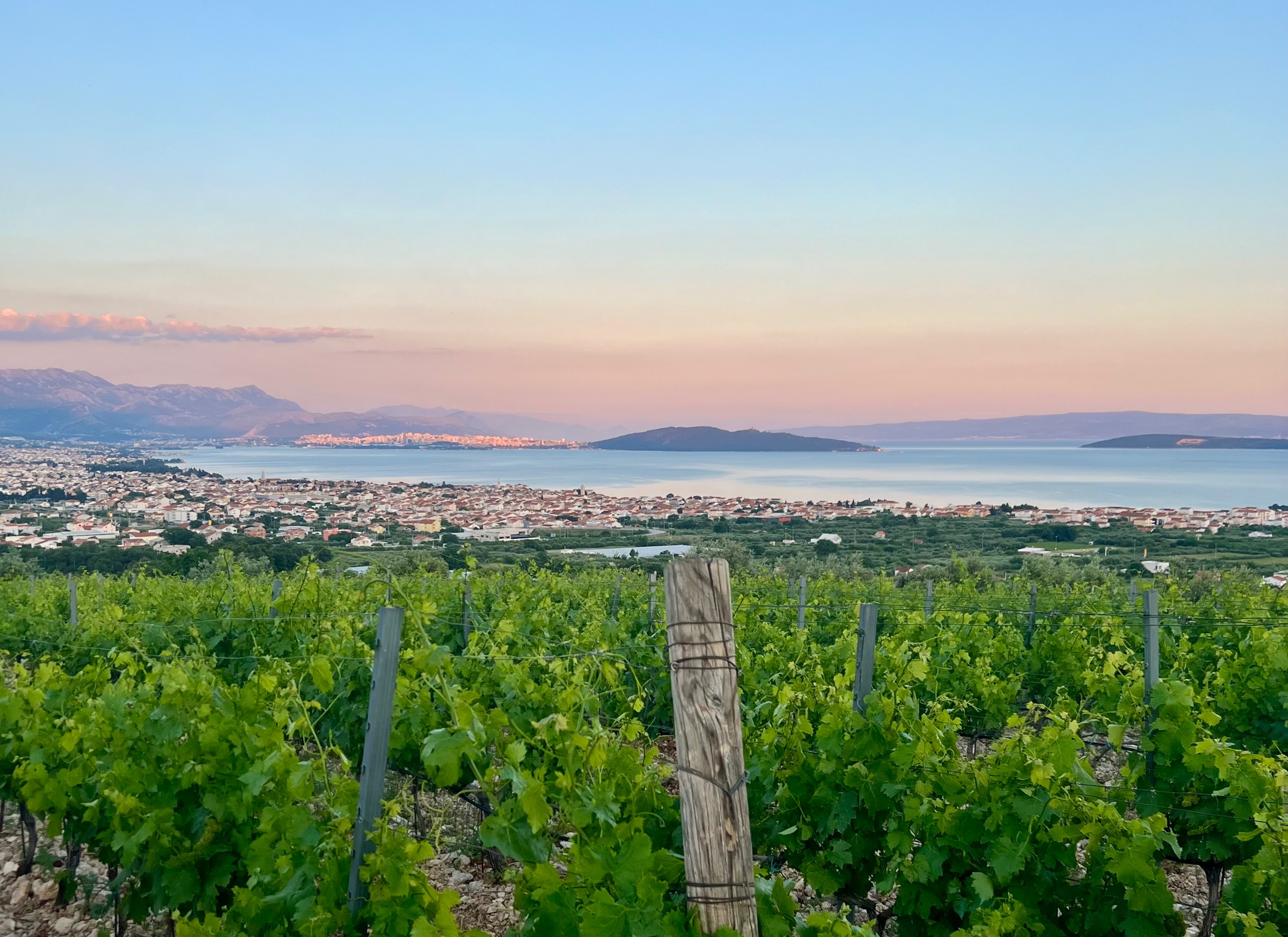 Winery Croatia Yachting
